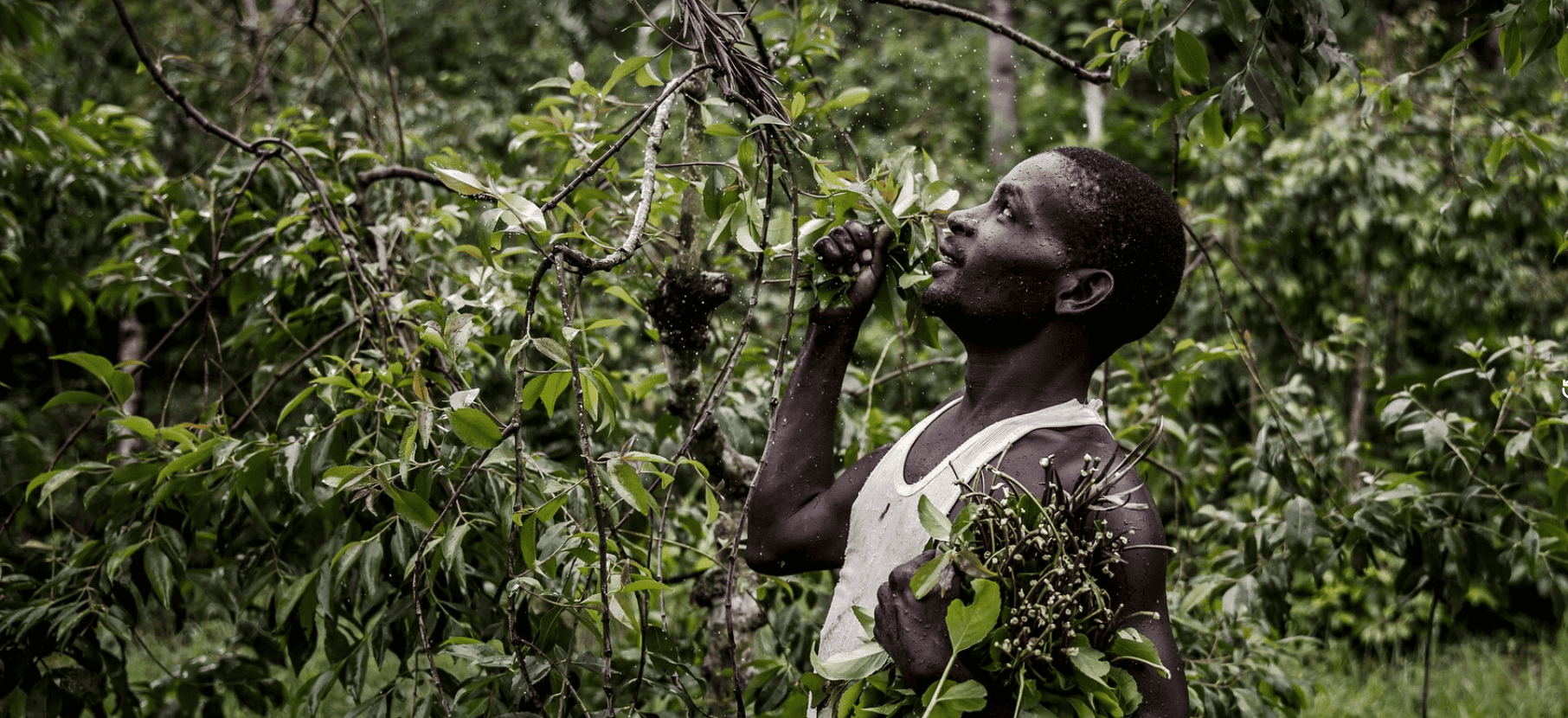 From Dawn to Dusk: How Samuel Kaberia Left the Miraa Fields and Found Financial Freedom